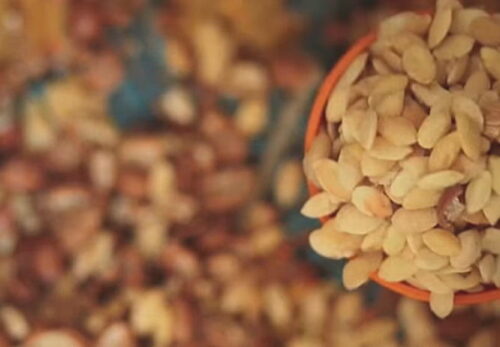 アルガンオイルとは？初心者でもわかる本物の選び方と特徴を徹底解説