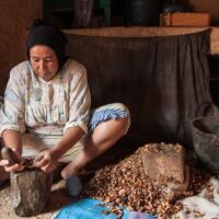 伝統製法と現代基準の違いを正しく理解する