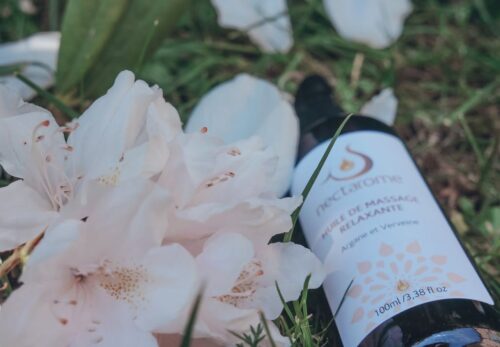 1回1滴でも十分？アルガンオイルの適量を肌タイプ別に解説