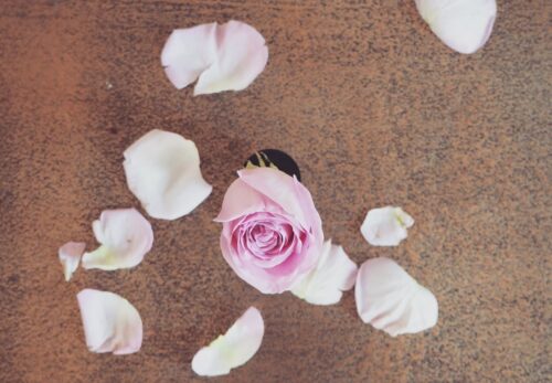 モロッコの美容はなぜシンプルなのか