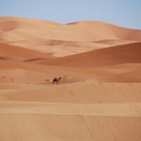 マラケシュの乾燥気候と保湿文化