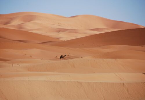 マラケシュの乾燥気候と保湿文化
