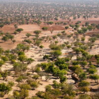 >世界でアルガンオイル需要が急増｜モロッコのアルガンの森に影響も