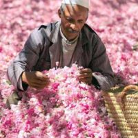 モロッコ女性に学ぶ自然美容｜伝統の6つのセルフケア習慣