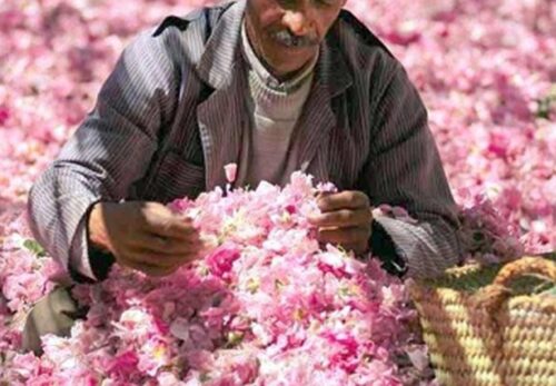 モロッコ女性に学ぶ自然美容｜伝統の6つのセルフケア習慣