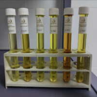 【完全ガイド】アルガンオイルと他の美容オイルの違い｜ホホバ・オリーブ・ウチワサボテン比較