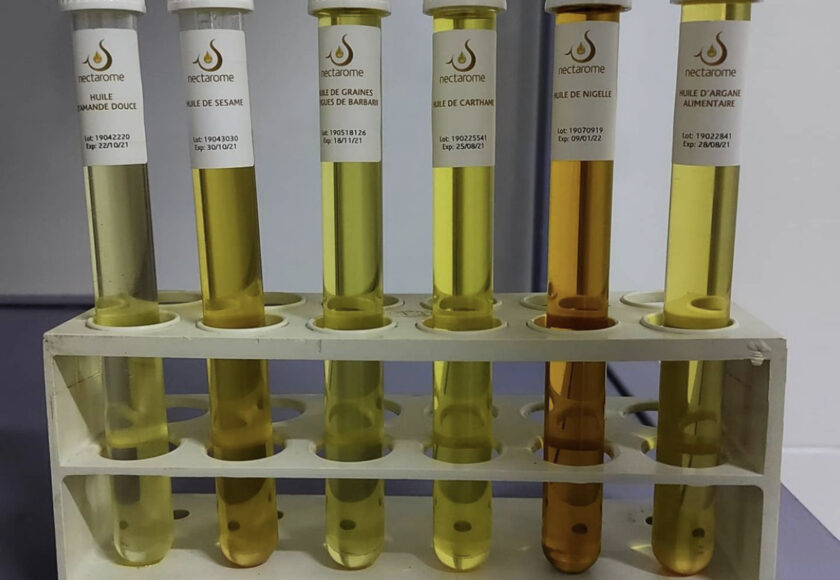 【完全ガイド】アルガンオイルと他の美容オイルの違い｜ホホバ・オリーブ・ウチワサボテン比較