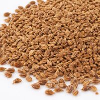 モロッコの美容ハーブ大辞典｜アニス（Anise）