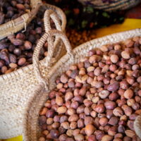 アルガンオイルはなぜ高価？1リットル作るのに必要な実の量