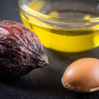 モロッコでアルガンオイルが“黄金の美容オイル”と呼ばれる理由