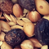 アルガンオイルは本当にオーガニック？