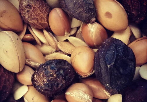 アルガンオイルは本当にオーガニック？