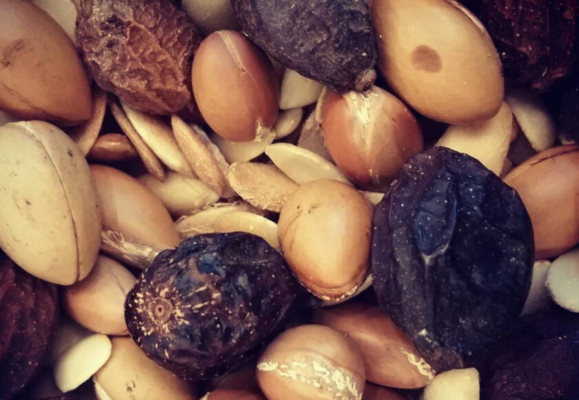 アルガンオイルは本当にオーガニック？