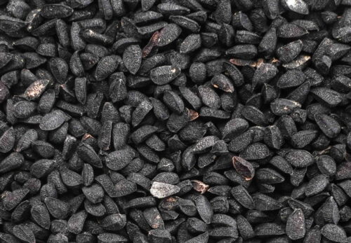 モロッコの美容ハーブ大辞典｜ブラッククミン（Black Cumin / Nigella）