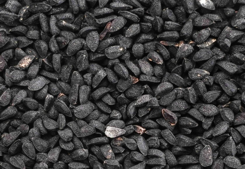 モロッコの美容ハーブ大辞典｜ブラッククミン（Black Cumin / Nigella）
