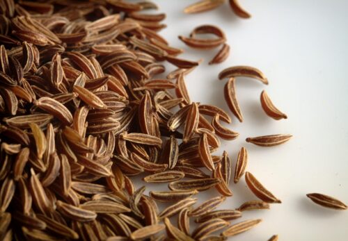 モロッコの美容ハーブ大辞典｜キャラウェイ（Caraway）