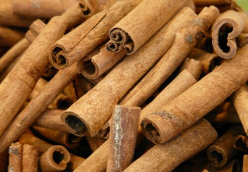 モロッコの美容ハーブ大辞典|シナモン(Cinnamon)