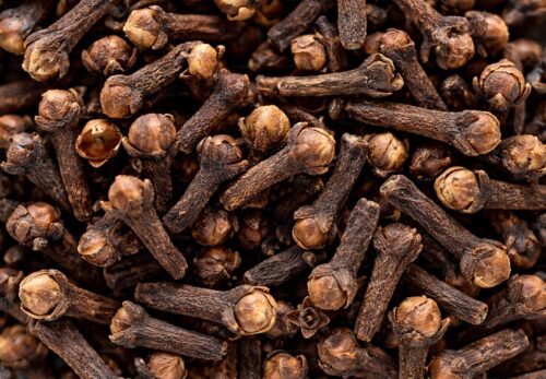 モロッコの美容ハーブ大辞典｜クローブ（Clove）