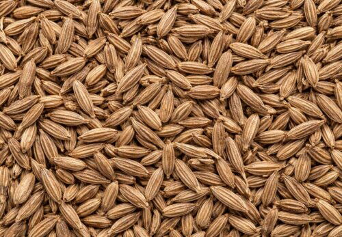 モロッコの美容ハーブ大辞典｜クミン（Cumin）