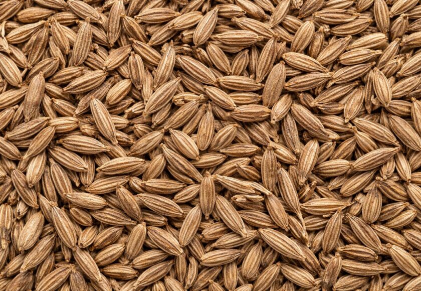 モロッコの美容ハーブ大辞典｜クミン（Cumin）