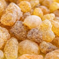 モロッコの美容ハーブ大辞典｜フランキンセンス（Frankincense）