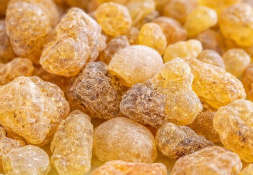 モロッコの美容ハーブ大辞典｜フランキンセンス（Frankincense）