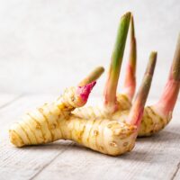 モロッコの美容ハーブ大辞典｜ガランガル（Galangal）