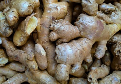 モロッコの美容ハーブ大辞典|ジンジャー(Ginger)