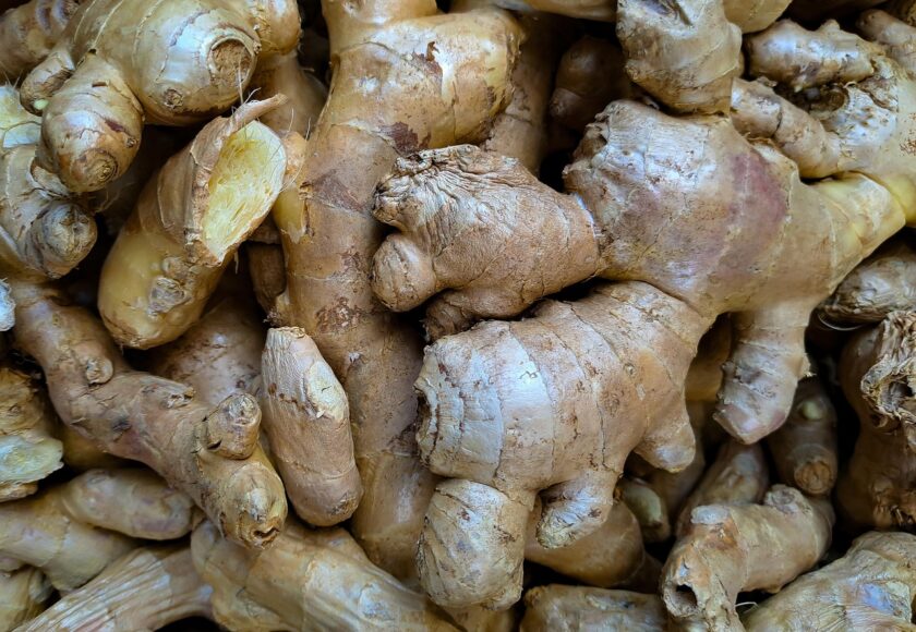 モロッコの美容ハーブ大辞典｜ジンジャー（Ginger）