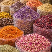 モロッコの美容ハーブ大辞典｜自然の恵みで美しさを育む伝統美容植物ガイド