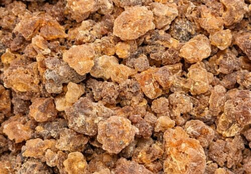 モロッコの美容ハーブ大辞典|ミルラ(Myrrh)