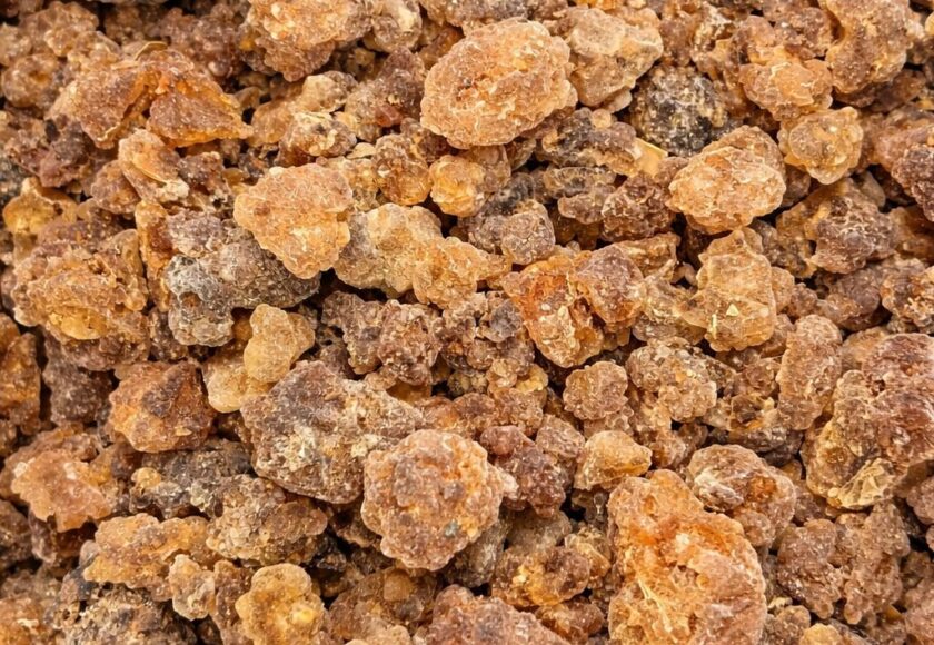 モロッコの美容ハーブ大辞典｜ミルラ（Myrrh）