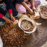 アルガンオイルは何からできている？原料と製法を解説