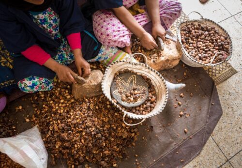 アルガンオイルは何からできている？原料と製法を解説