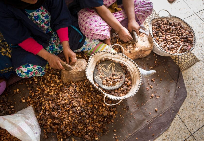 アルガンオイルは何からできている？原料と製法を解説