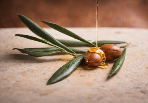 アルガンオイルって何？初心者向けにわかりやすく解説