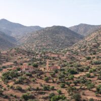 アルガンオイルはどこの国のもの？原産地はどこ？