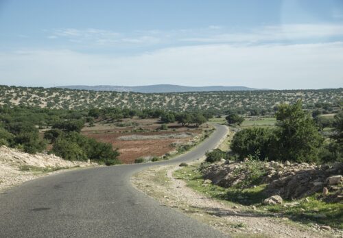 アルガンオイル需要急増｜モロッコの森は大丈夫？