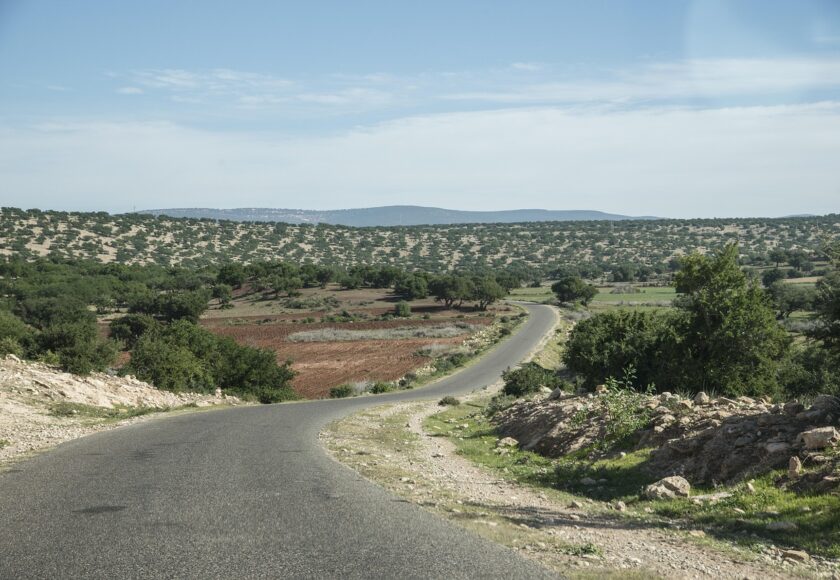 アルガンオイル需要急増｜モロッコの森は大丈夫？