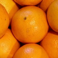 モロッコの美容ハーブ大辞典｜オレンジピール（Orange Peel）