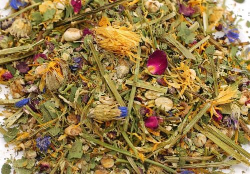 モロッコの美容ハーブ大辞典｜ローズウッド（Rosewood）