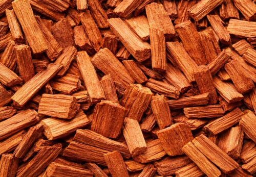 モロッコの美容ハーブ大辞典｜サンダルウッド（Sandalwood）