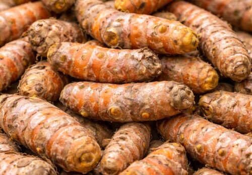 モロッコの美容ハーブ大辞典｜ターメリック（Turmeric）