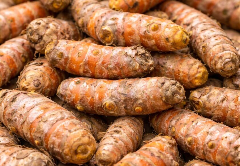 モロッコの美容ハーブ大辞典｜ターメリック（Turmeric）