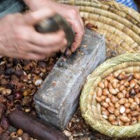 アルガンオイルのデメリットとは？知っておきたい注意点と正しい使い方