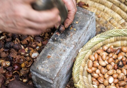 アルガンオイルのデメリットとは？知っておきたい注意点と正しい使い方