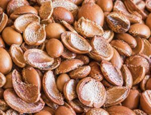 アルガン殻（シェル）