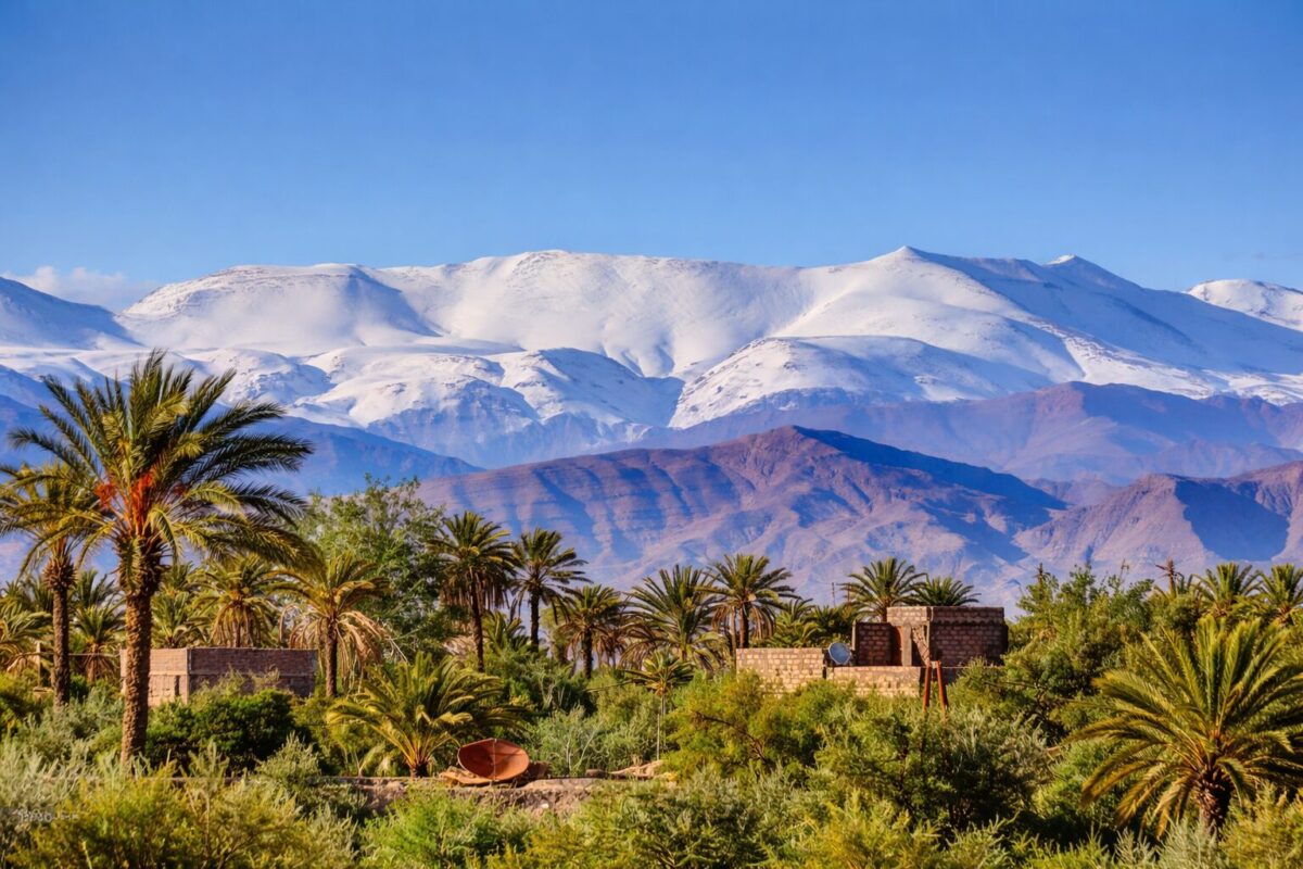 ネクタロームの品質 | なぜ産地が重要なのか