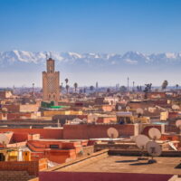 モロッコのお土産屋さんのアルガンオイルは大丈夫？失敗しない選び方