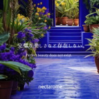 完璧な美しさなど存在しない | モロッコ美容の哲学